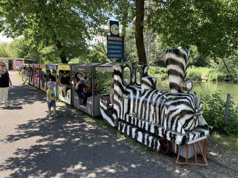 Seeteufel_Bähnli Seeteufel_Bähnli